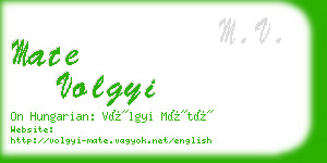 mate volgyi business card